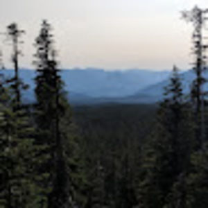 Meet your Posher, Avery